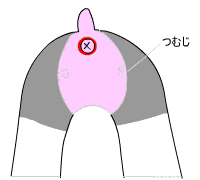 犬のお尻にバリカンをかける方法