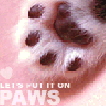 犬