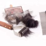 トリミングブラシ