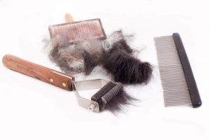 トリミングブラシ