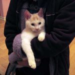 家族が増えました！