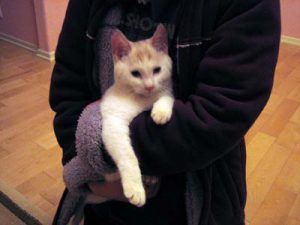 家族が増えました！